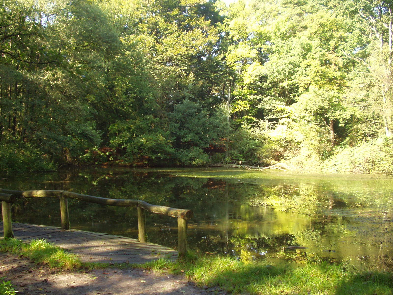 De 10 mooiste wandelroutes bij Ootmarsum