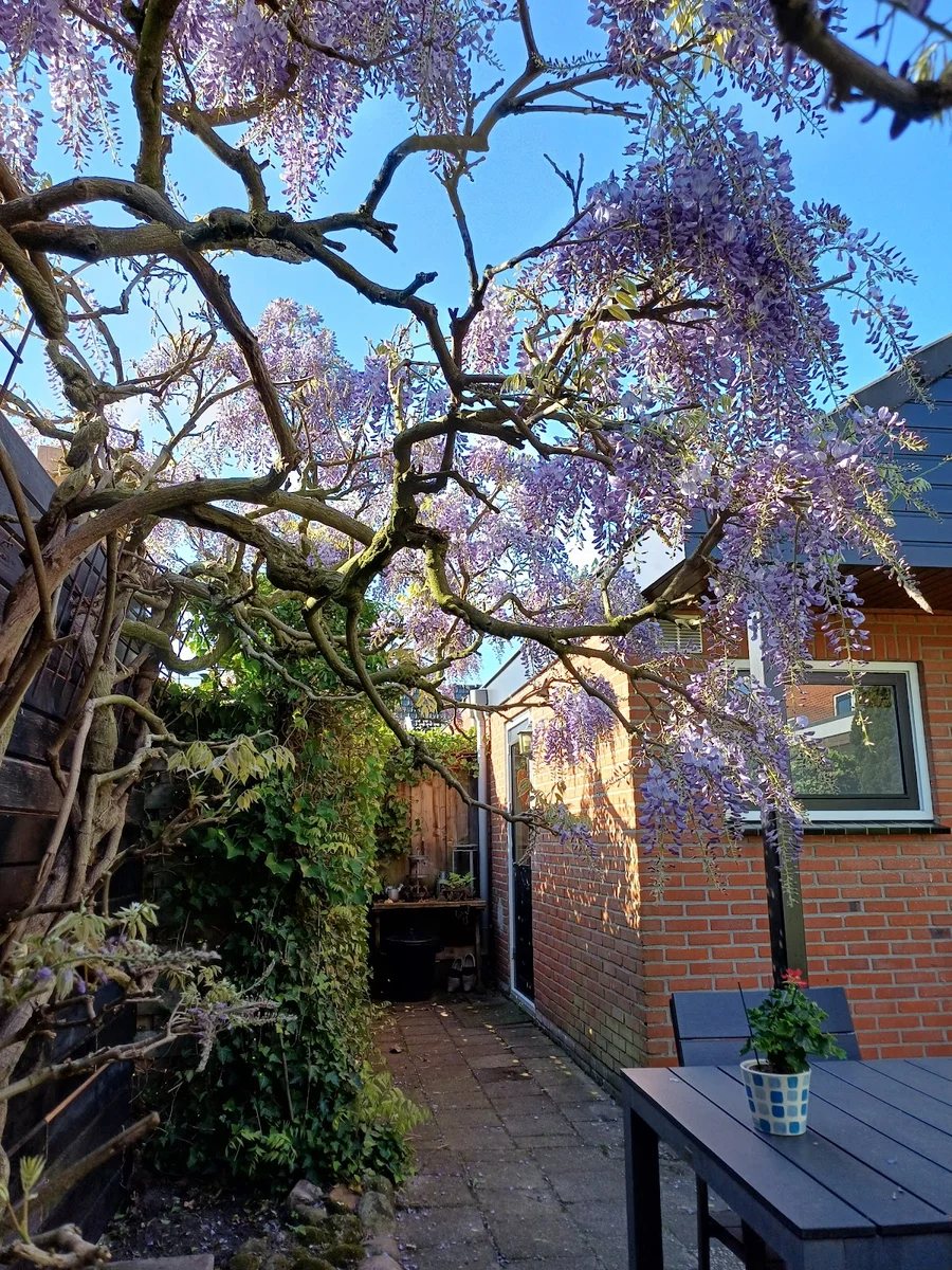 B&B Odemarus foto 11