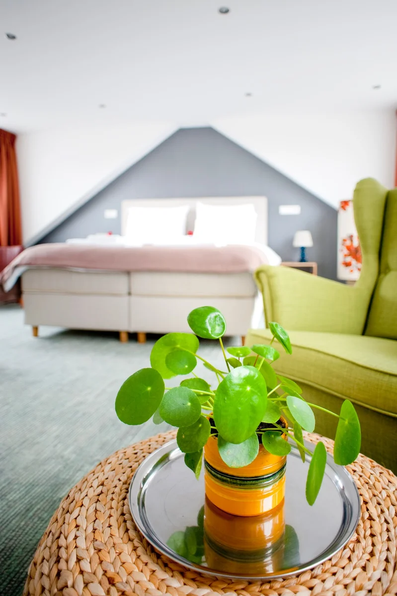 B&B Ootmarsum foto 7