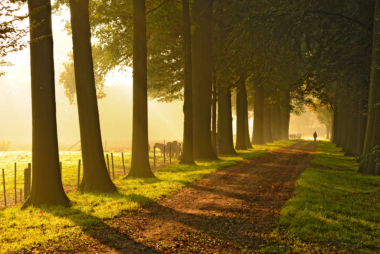 B&B Ootmarsum foto 9