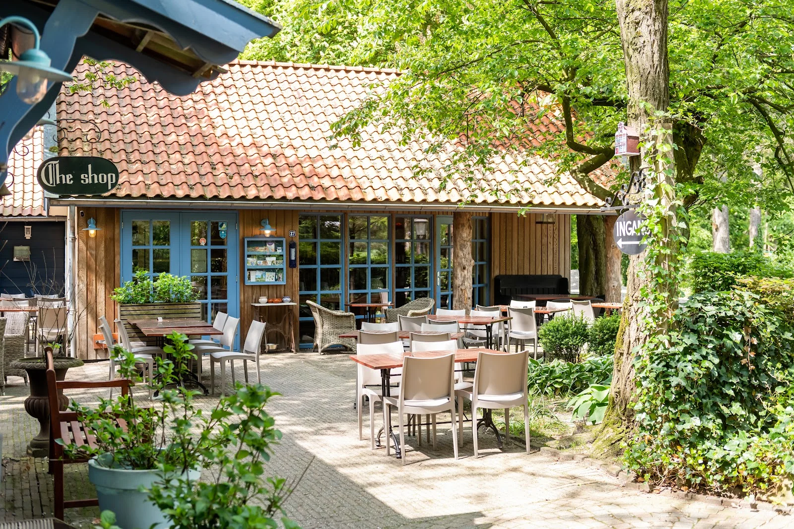 Erve Dennenoord foto 2