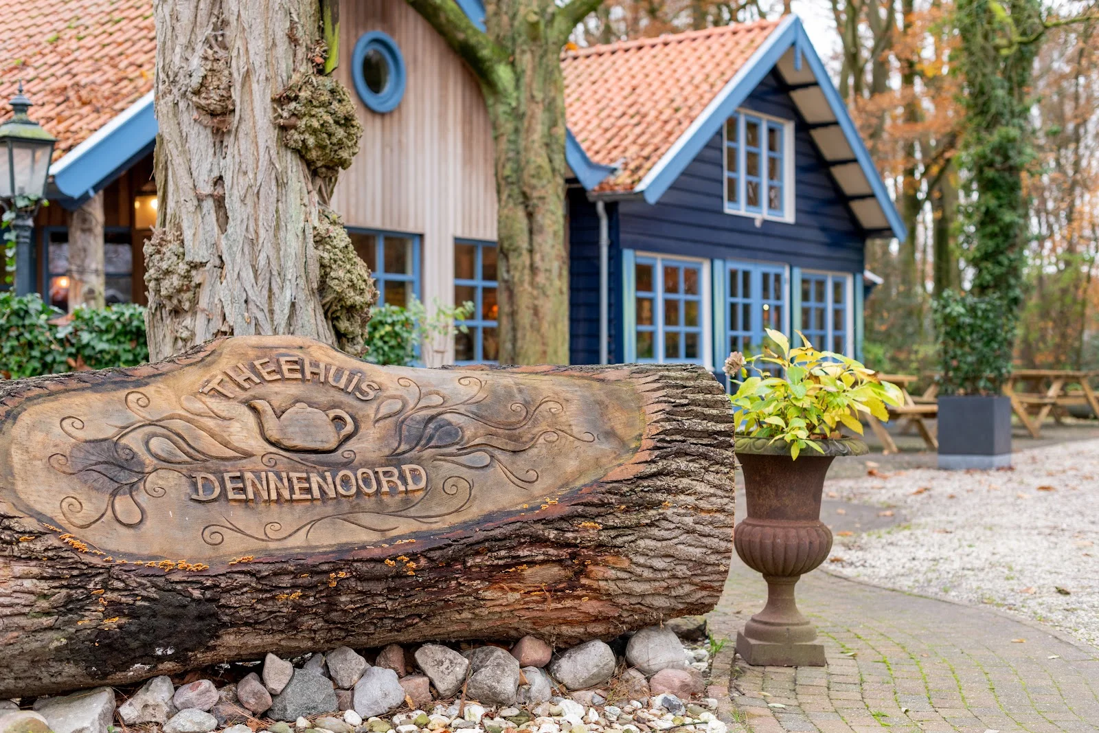 Erve Dennenoord foto 5