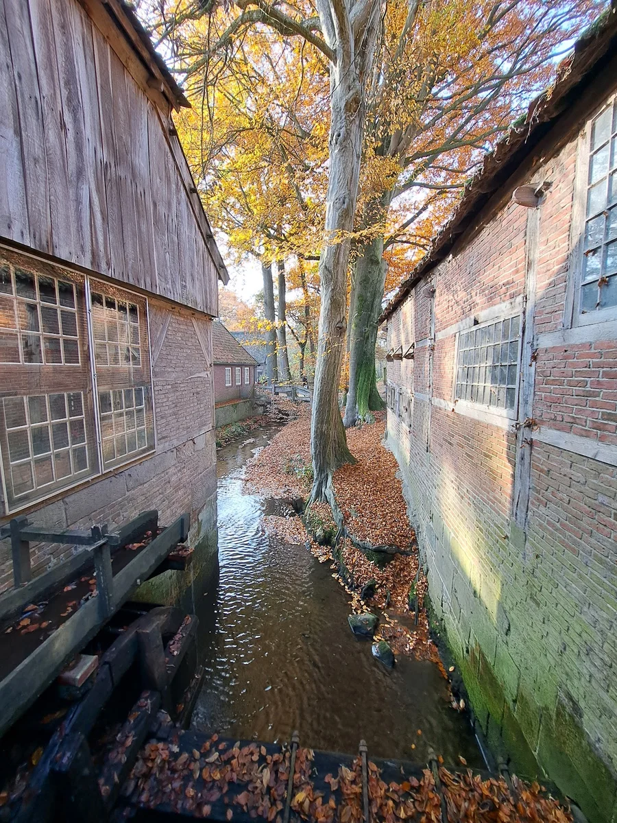 Restaurant Watermolen Bels foto 8