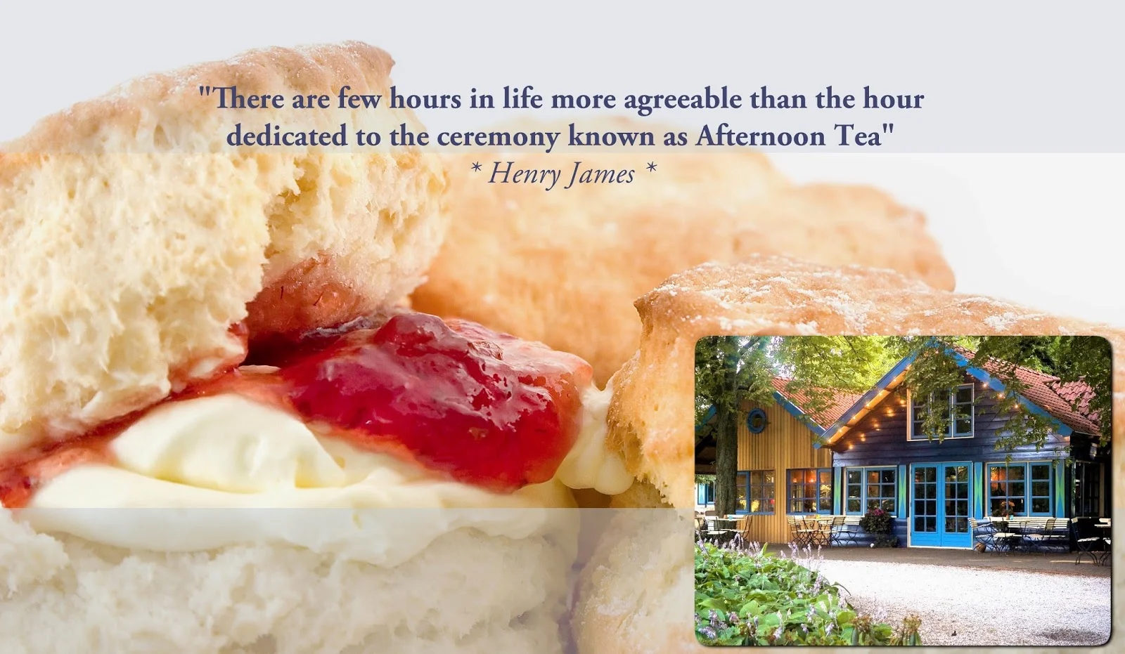 Theehuis Dennenoord foto 3