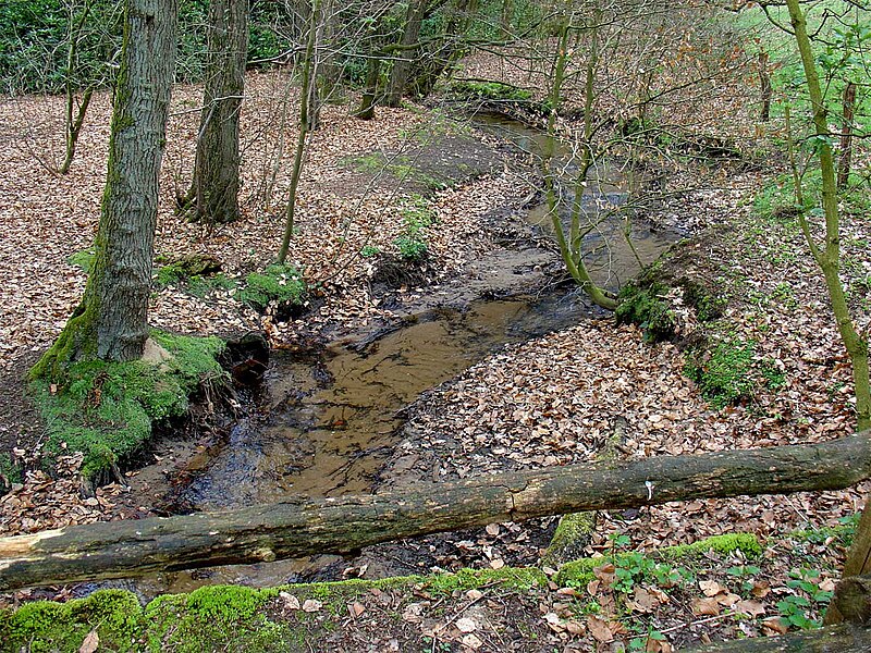 Mountainbiken rond Ootmarsum: routes voor MTB'ers