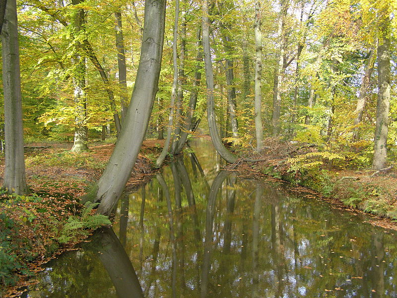 Ootmarsum voor fotografen: herfst en landschap
